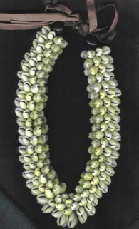 Shell: Multiple Conch Shell Lei