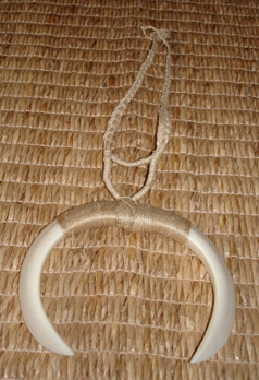 Boars Tooth Necklaces