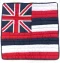 Pillow Covering: Hawaiian State Flag