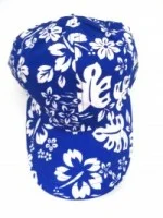 Baseball Caps