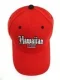 Hawaiian Flag Solid Print Hat