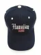 Hawaiian Flag Solid Print Hat