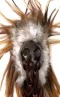Hawaiian War Helmet With Beads