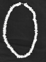 Necklace: White Puka Shell