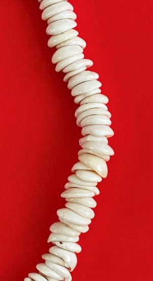 Necklace: White Surfer's Hand-Strung Big Shell Model 12