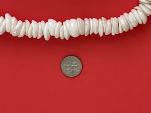 Necklace: White Surfer's Hand-Strung Big Shell Model 12