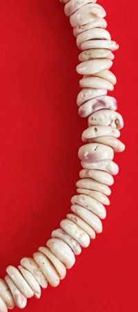 Necklace: White Surfer's Hand-Strung Giant Puka Shell Model 15 ...