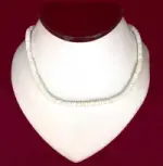 Necklace: White Cut Shell - Product Image