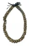 Shell: Shell of Moloka'i Lei - Model 1