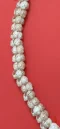 Shell: Spotted Moonshell Lei