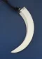 Single Boar's Tooth Necklace: Silver Tip - Extra Long